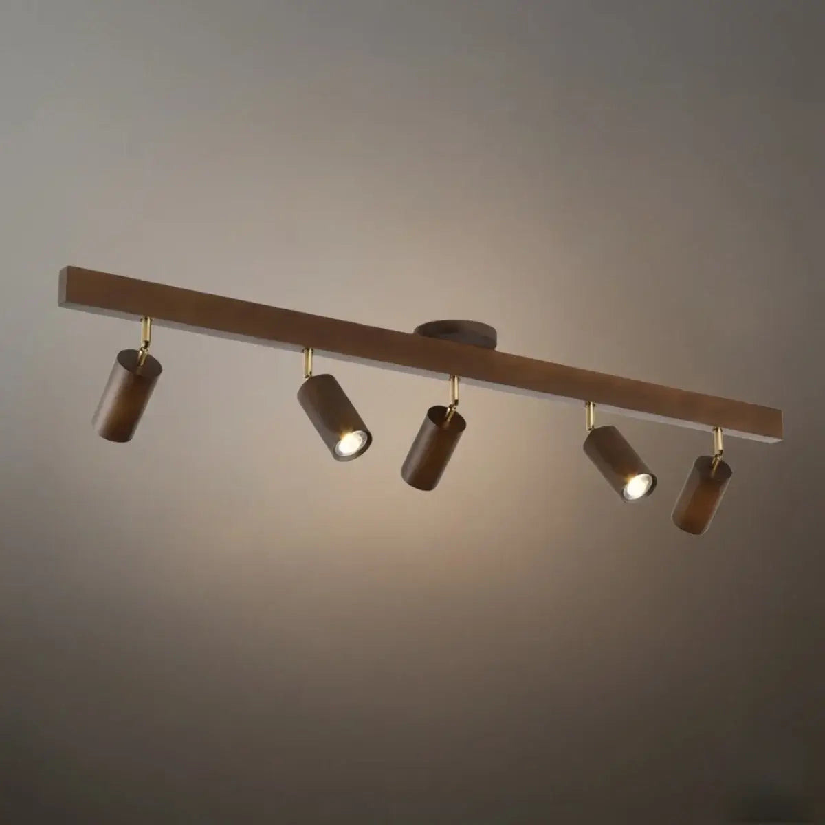 Modern Track Light